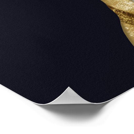 Grappige Retro Gouden Disco Bal Emu Bird Poster (Hoek)