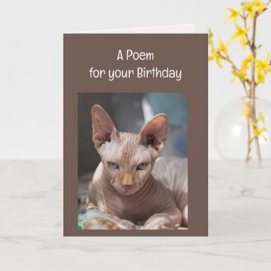 Grappige rimpels ouderdom over de heuvel kat dier kaart (Gele Bloem)