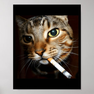 Grappige Rokkende Kat Meme Donkere Humor Sarcastis Poster