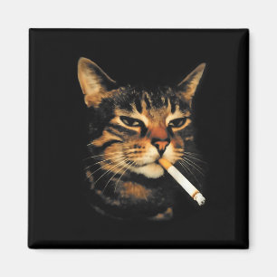 Grappige Rokkende Kat Sigaret Kitten Meme Stomme H Magneet