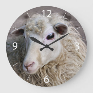Grappige schapen grote klok