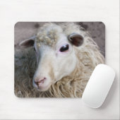 Grappige schapen muismat (Met muis)