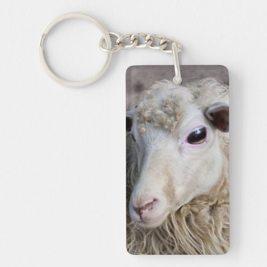 Grappige schapen sleutelhanger (Voorkant)