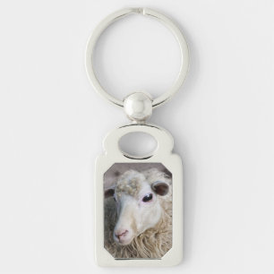 Grappige schapen sleutelhanger