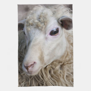 Grappige schapen theedoek