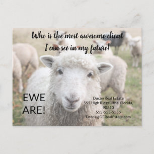 Grappige Schapen Vastgoed Verwijskaart Ooi Briefkaart