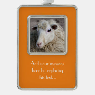 Grappige schapen verzilverd kader ornament