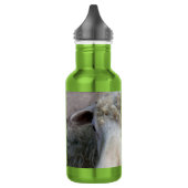 Grappige schapen waterfles (Links)