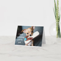 Grappige schattige chihuahua hond verjaardagskaart