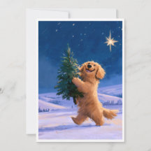 Grappige schattige puppy met kerstboom