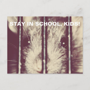 Grappige Schattige rat in de gevangenis Briefkaart