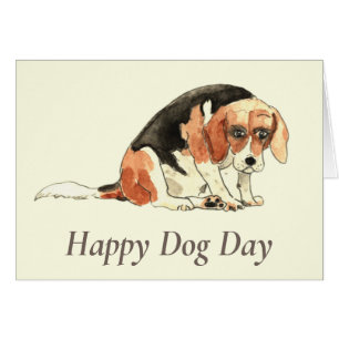 Grappige Schattige Verdrietige Beagle Hond Waterve