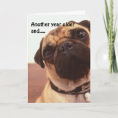 Grappige Schattigee Humorous Pug Dog Verjaardag Ka Kaart (Voorkant)