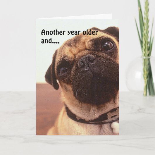 Grappige Schattigee Humorous Pug Dog Verjaardag Ka Kaart (Voorkant)