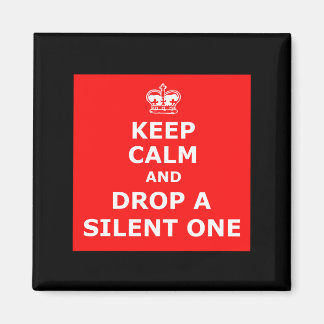 Grappige scheet magneet