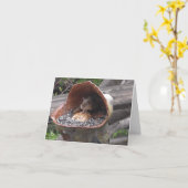 Grappige Schroef Dieting Chipmunk met Volledige Ch Kaart (Gele Bloem)