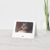 Grappige Schroef Dieting Chipmunk met Volledige Ch Kaart (Achterkant)