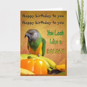 Grappige Senegal Parrot Verjaardag Kaart