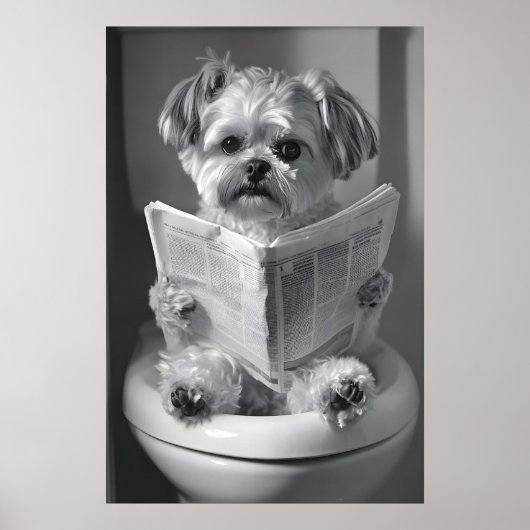 Grappige Shih Tzu badkamerprint, Krant lezen Poster (Voorkant)