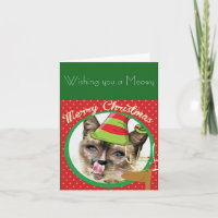 Grappige Siamese kat kerstkaart