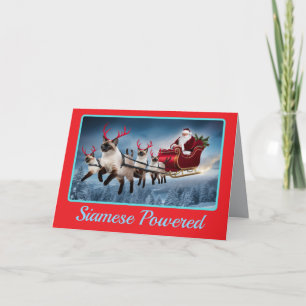Grappige Siamese Kat Kerstvakantie Kaart