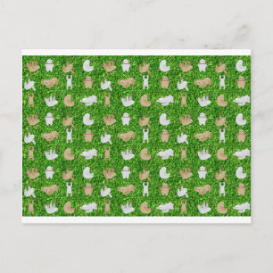 grappige sloezels briefkaart