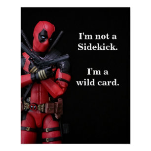 Grappige Speelgoed-fotografie Anti-Hero Perfect Poster