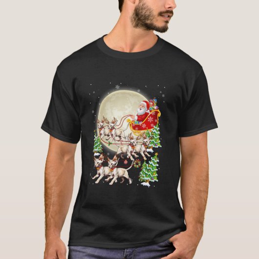 Grappige Sphynx Cat Rendier Santa Sleigh Merry Chr T-shirt (Voorkant)