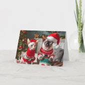 Grappige Sphynx Katten Kerstkaart Bedankkaart (Voorkant)