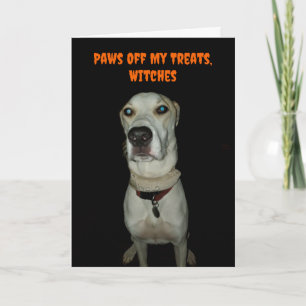 Grappige Spooky Dog Paws Van Mijn Treats Halloween Kaart