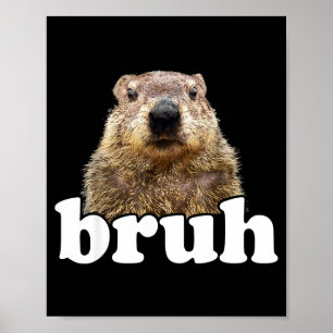 Grappige spreuk broer grondhoer dierenvriend grond poster