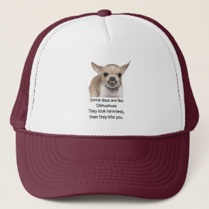 Grappige spreuk over het leven met Chihuahua-hond Trucker Pet