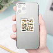 Grappige Stickers voor laptops (Telefoon)