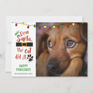 Grappige Stoute Hond Foto LIEVE KERSTMAN, DE KAT H Feestdagenkaart