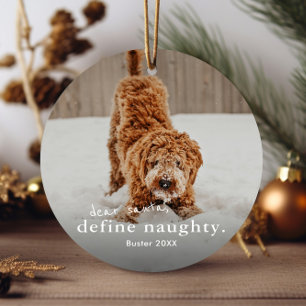 Grappige Stoute Huisdier 2 Foto Kerstmis Keramisch Ornament