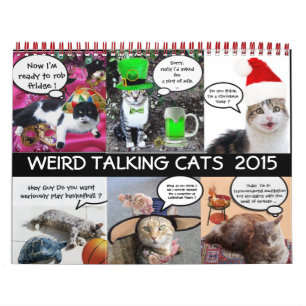 GRAPPIGE STRIPS VAN RARE PRATENDE KATTEN 2015 KALENDER