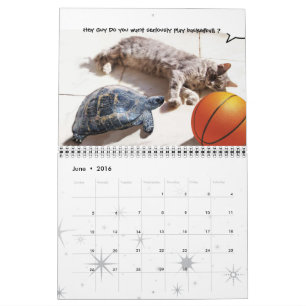 GRAPPIGE STRIPS VAN RARE PRATENDE KATTEN 2015 KALENDER