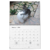 GRAPPIGE STRIPS VAN RARE PRATENDE KATTEN 2015 KALENDER (Feb 2026)