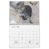 GRAPPIGE STRIPS VAN RARE PRATENDE KATTEN 2015 KALENDER (Jan 2026)