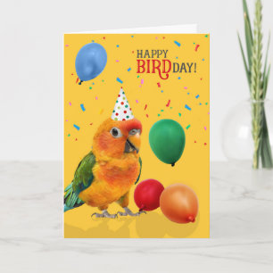 Grappige Sun Conure Papegaai Verjaardag Kaart
