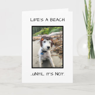 GRAPPIGE SYMPATHIEKAART KAART