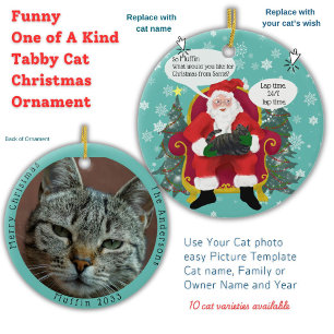 Grappige Tabby Cat bezoekt de Kerstman met hilaris Keramisch Ornament