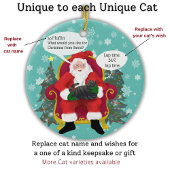 Grappige Tabby Cat bezoekt de Kerstman met hilaris Keramisch Ornament