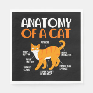Grappige Tabby Katteneigenaar Anatomie Van Een Kat Servet