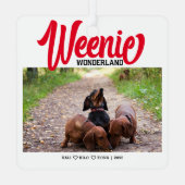 Grappige Teckel Weenie Hond Kerst Custom Foto Metalen Ornament (Achterkant)