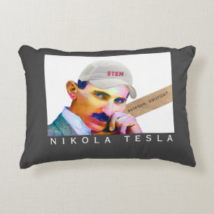 Grappige Tesla Accent Kussen