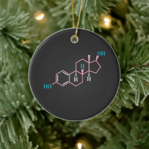 Grappige Transgender Trans LGBT Pride Rechten Oest Keramisch Ornament