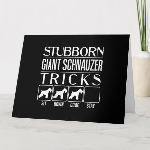 Grappige Trucs van Vrouwen met Reuzen Schnauzers Kaart
