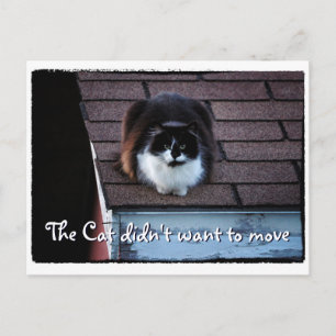 Grappige Tuxedo Cat op het dak Verhuisaankondiging Aankondigingskaart