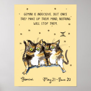 Grappige Tweelingen poster Zodiac Kat Sterren teke